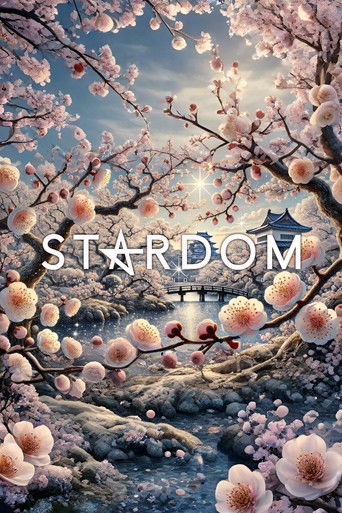 Stardom in Okayama 2026 Feb. poster