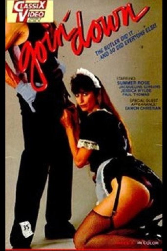 Movie poster for Goin' Down (1985)
