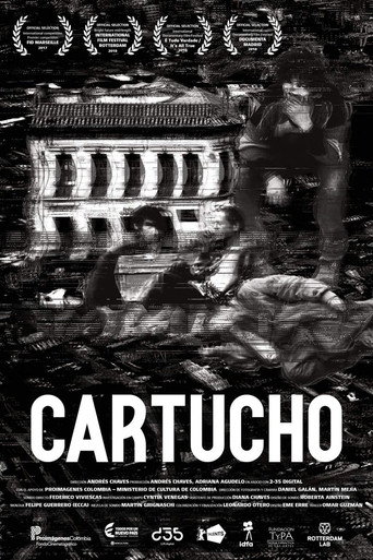 Movie poster for Cartucho (2018)