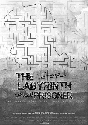 Movie poster for The Labyrinth Prisoner (2021)