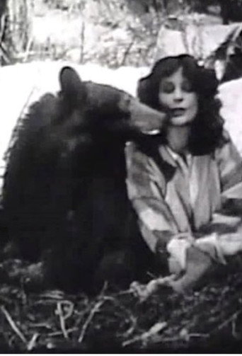 Movie poster for The Light on Lookout Mountain (1926)