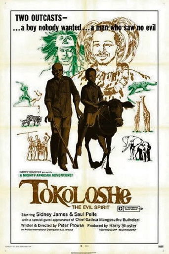 Tokoloshe poster