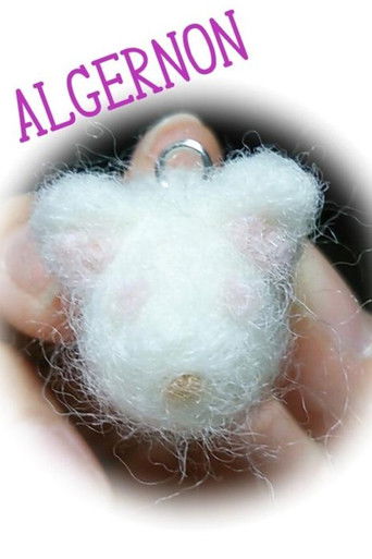 Flowers for Algernon poster