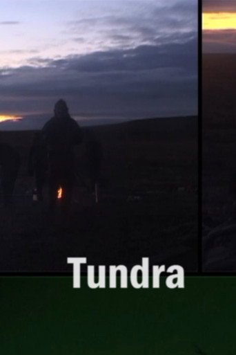 Movie poster for Tundra (2007)