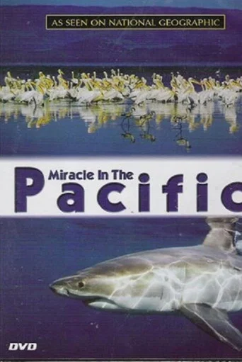 Movie poster for Miracle in the Pacific (2004)