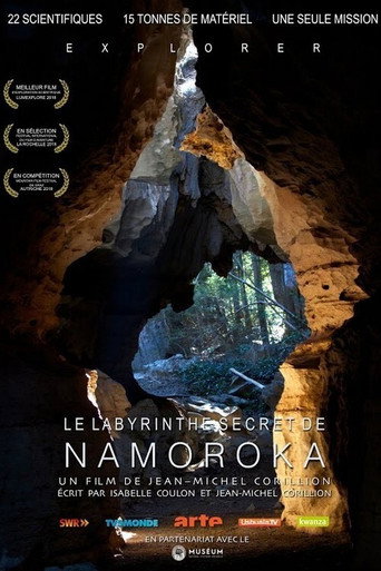 Movie poster for Le Labyrinthe secret de Namoroka (2018)