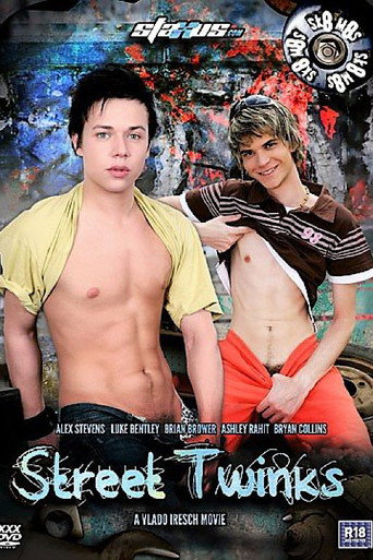 Movie poster for Street Twinks (2013)