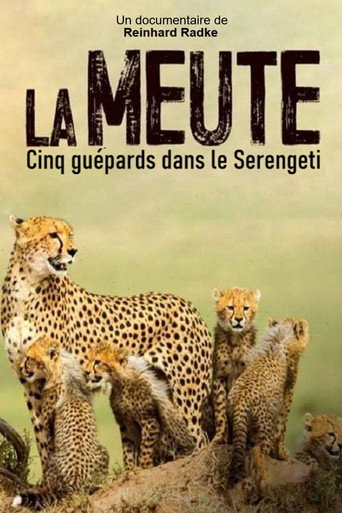 Movie poster for Die fünf Geparde - Gemeinsam durch die Serengeti (2019)