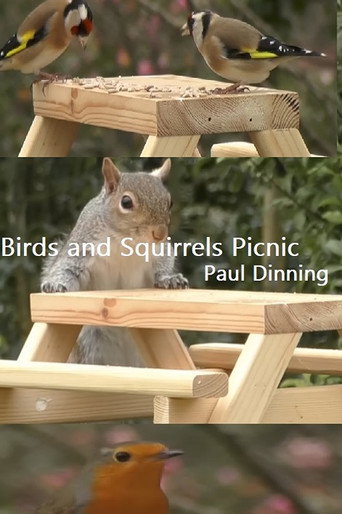 Movie poster for Birds and Squirrels Picnic (2023)