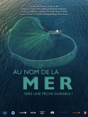Movie poster for Au nom de la mer : vers une pêche durable ? (2025)