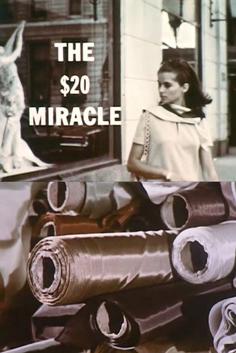 Movie poster for The Twenty Dollar Miracle (1967)