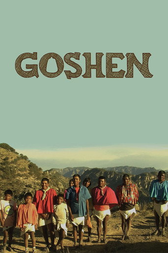 Movie poster for Goshen (2015)