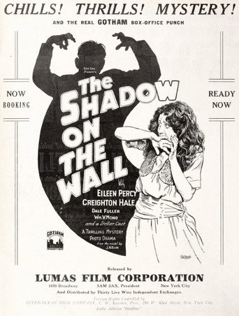 Movie poster for The Shadow on the Wall (1925)