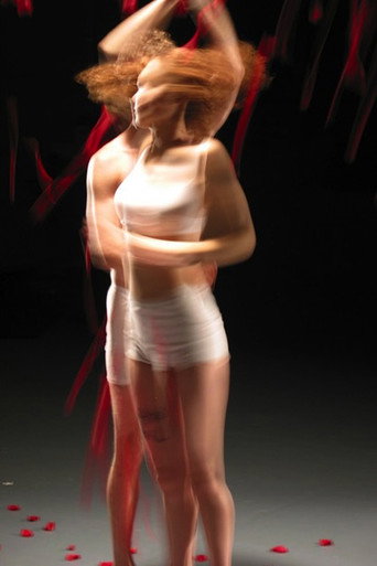 Movie poster for The Passion (2003)