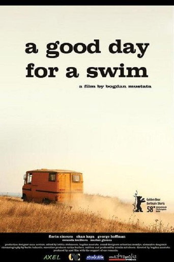 Movie poster for A Good Day for a Swim (2008)