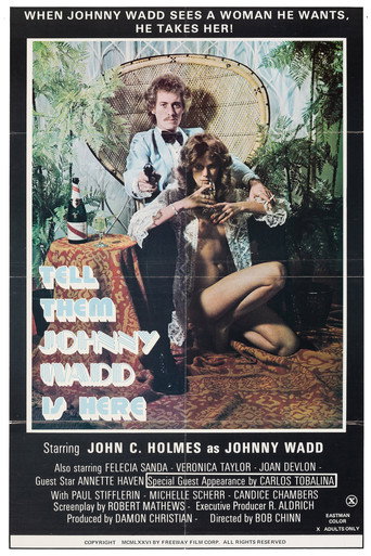 Movie poster for Tell Them Johnny Wadd Is Here (1976)