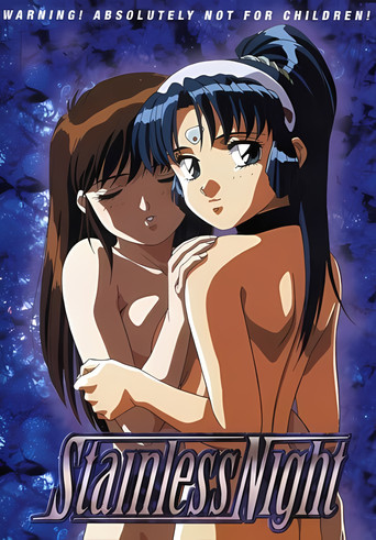 Stainless Night poster