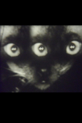 Movie poster for Wee Gee’s Camera Magic (1960)