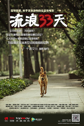 Movie poster for 流浪33天 (2013)