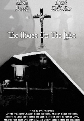Movie poster for The House On The Lake (2024)