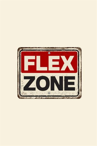 Series poster for FLEX ZONE (2019)