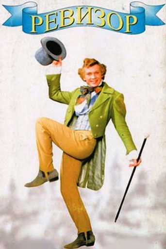 Revizorro poster