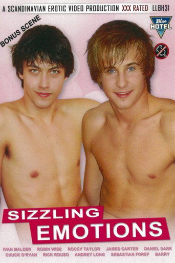 Movie poster for Sizzling Emotions (2011)
