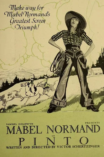 Movie poster for Pinto (1920)