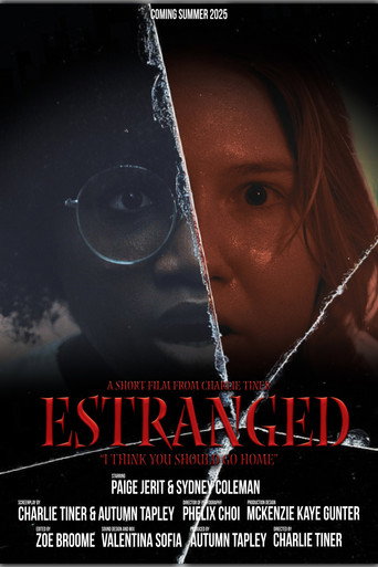 Movie poster for Estranged