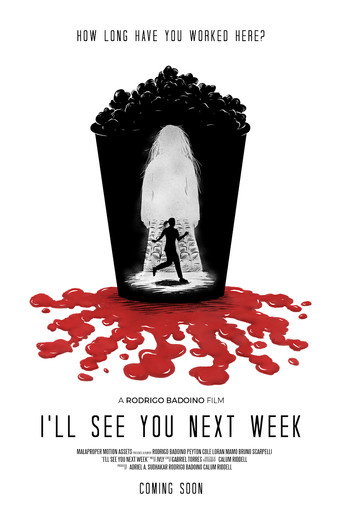 Movie poster for I’ll See You Next Week