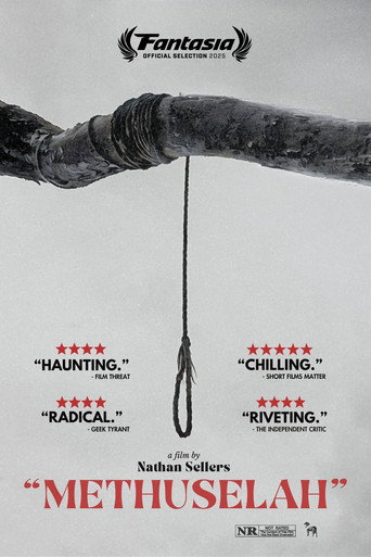 Movie poster for Methuselah (2024)