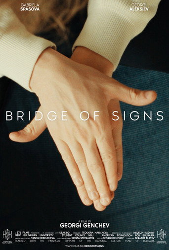 Bridge of Signs poster