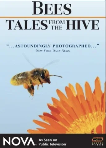 Movie poster for Bees - Tales from the Hive