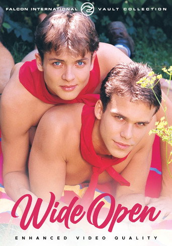 Movie poster for Wide Open (1997)