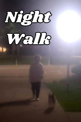 Movie poster for Night Walk (2023)