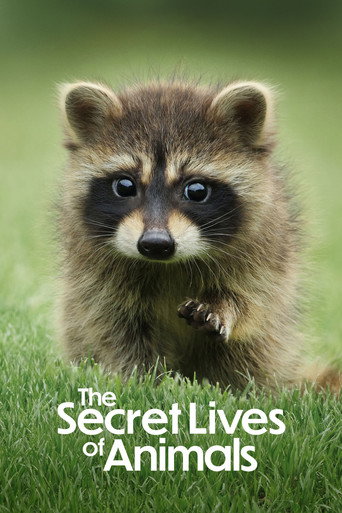 Series poster for The Secret Lives of Animals (2024)