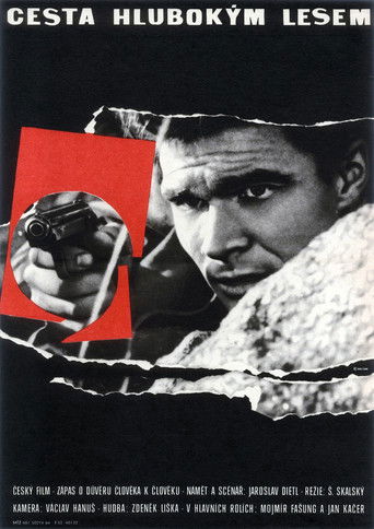 Passing Through a Thick Forest poster