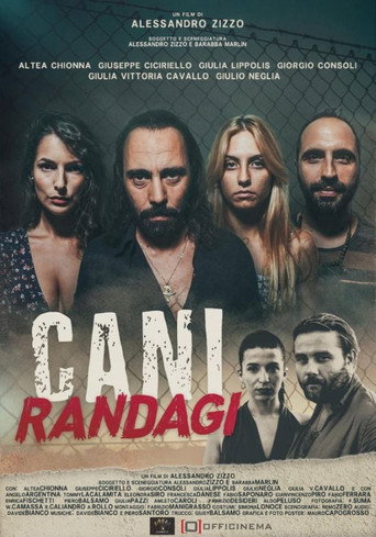 Movie poster for Cani randagi (2023)