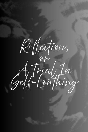 Movie poster for Reflection