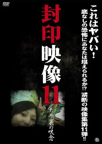 Movie poster for Sealed Video 11: Attic Curse (2013)