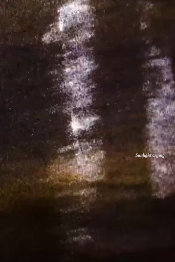 Movie poster for Sunlight Crying (2022)
