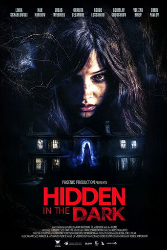 Hidden in the Dark poster