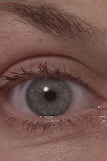 Movie poster for The Eyewitness (1996)