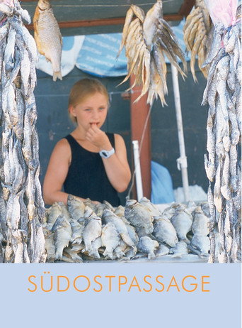 Movie poster for Southeast Passage (2002)
