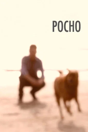 Movie poster for Pocho