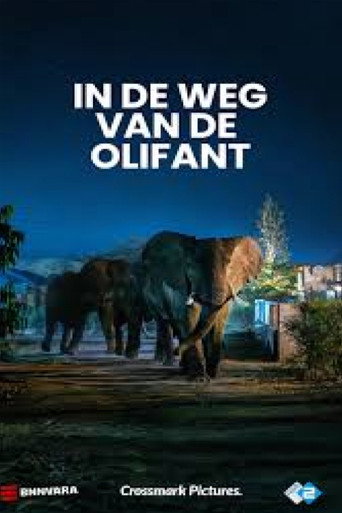 Movie poster for In the Footsteps of Giants (2024)