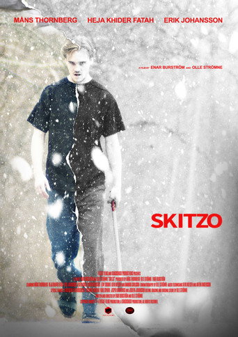 Movie poster for Skitzo