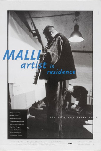 Movie poster for Malli - Artist in Residence (1993)