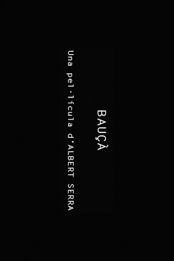 Movie poster for Bauçà (2009)