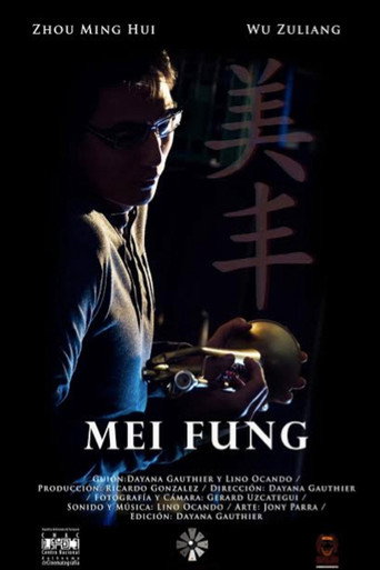 Movie poster for Mei Fung (2013)